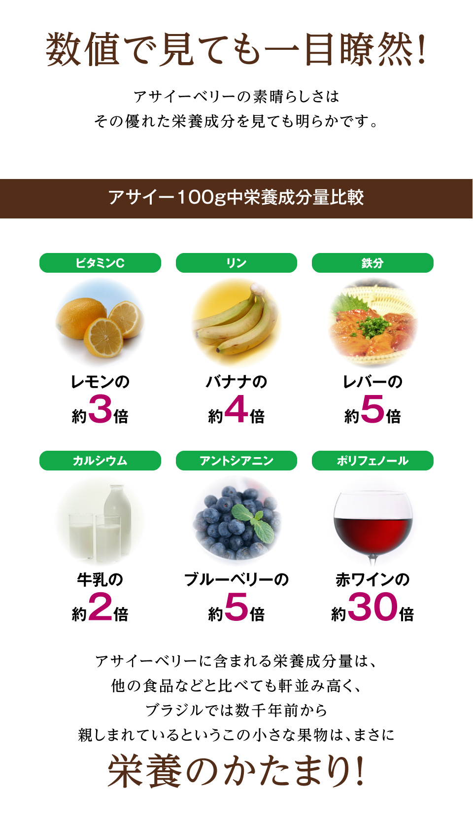 アサイーベリーの素晴らしさはその優れた栄養成分を見ても明らかです。アサイー100g中栄養成分量比較 アサイーベリーに含まれる栄養成分量は、他の食品などと比べても軒並み高く、ブラジルでは数千年前から親しまれているというこの小さな果物は、まさに栄養のかたまり！